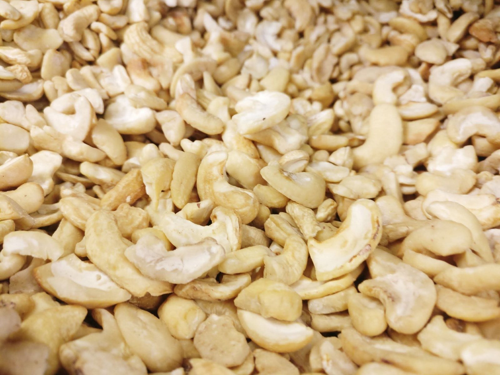 Cashew Kaser