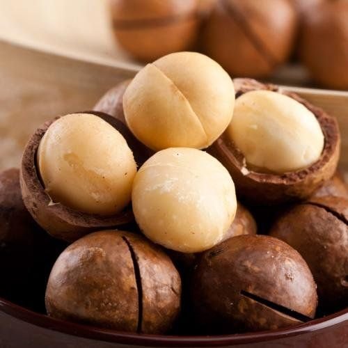 Macadamia