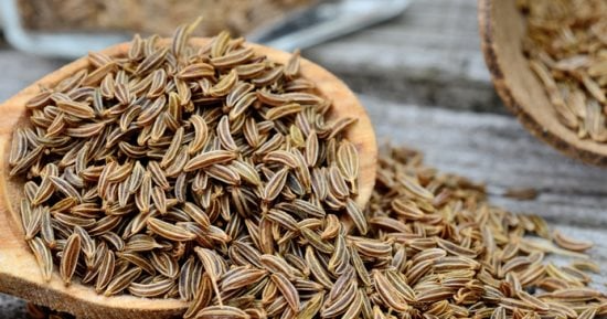 Karawya seeds